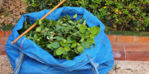 Why Green Waste Removal is Essential for a Healthy Environment: Tips and Best Practices