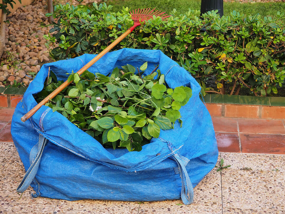 Green Waste Removal