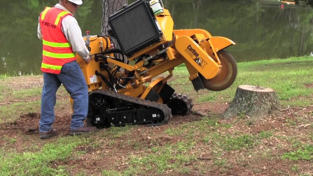 Professional Stump Removal