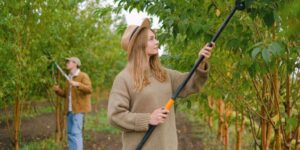 Expert Tips for Tree Pruning Sydney: Timing, Techniques, and More