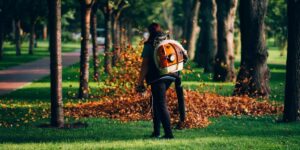Sydney Tree Lopping: Safe Tree Removal for Residential Properties