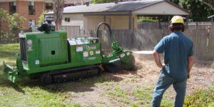 Tree Stump Grinding and the Symbolism of Renewal in Post-Storm Landscapes