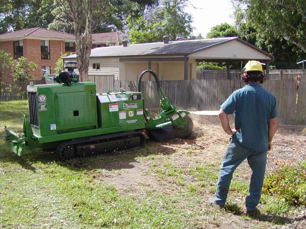 Tree Stump Grinding and the Symbolism of Renewal in Post-Storm Landscapes