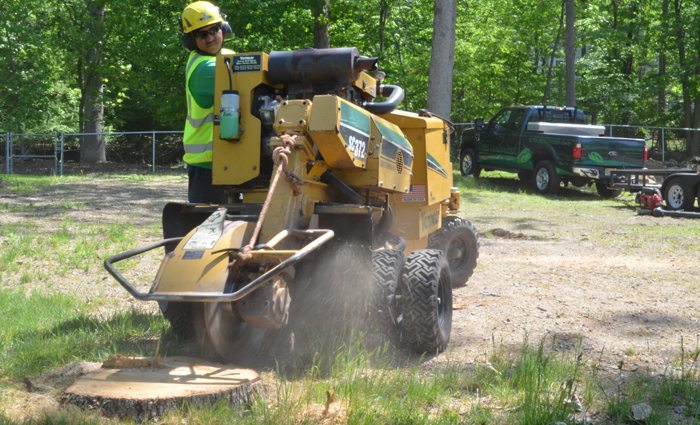 Tree Stump Grinding and the Symbolism of Renewal in Post-Storm Landscapes