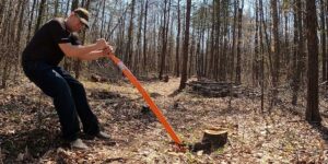 Stump Removal in Sydney: When Practical Work Meets Environmental Restoration